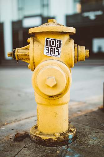 west hollywood yellow fire hydrant united states